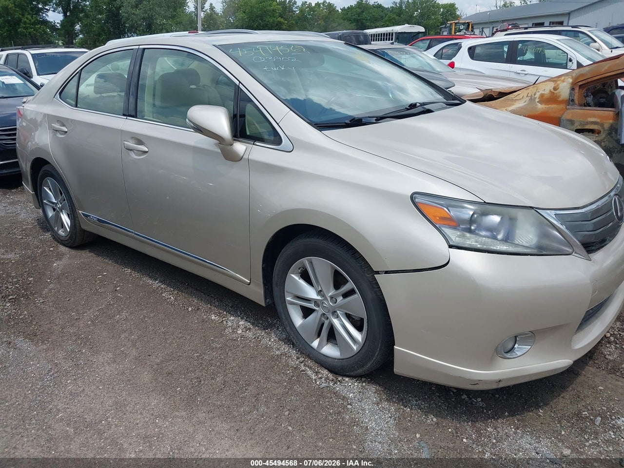 Image 6
