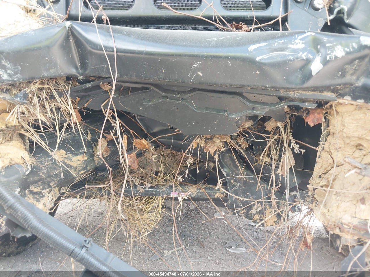 Image 12