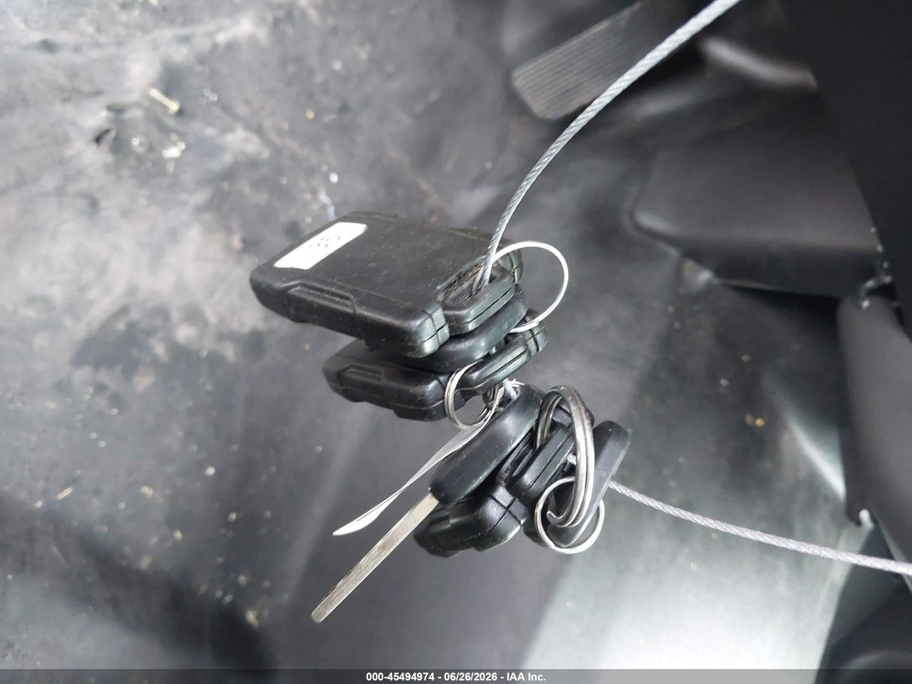 Image 11