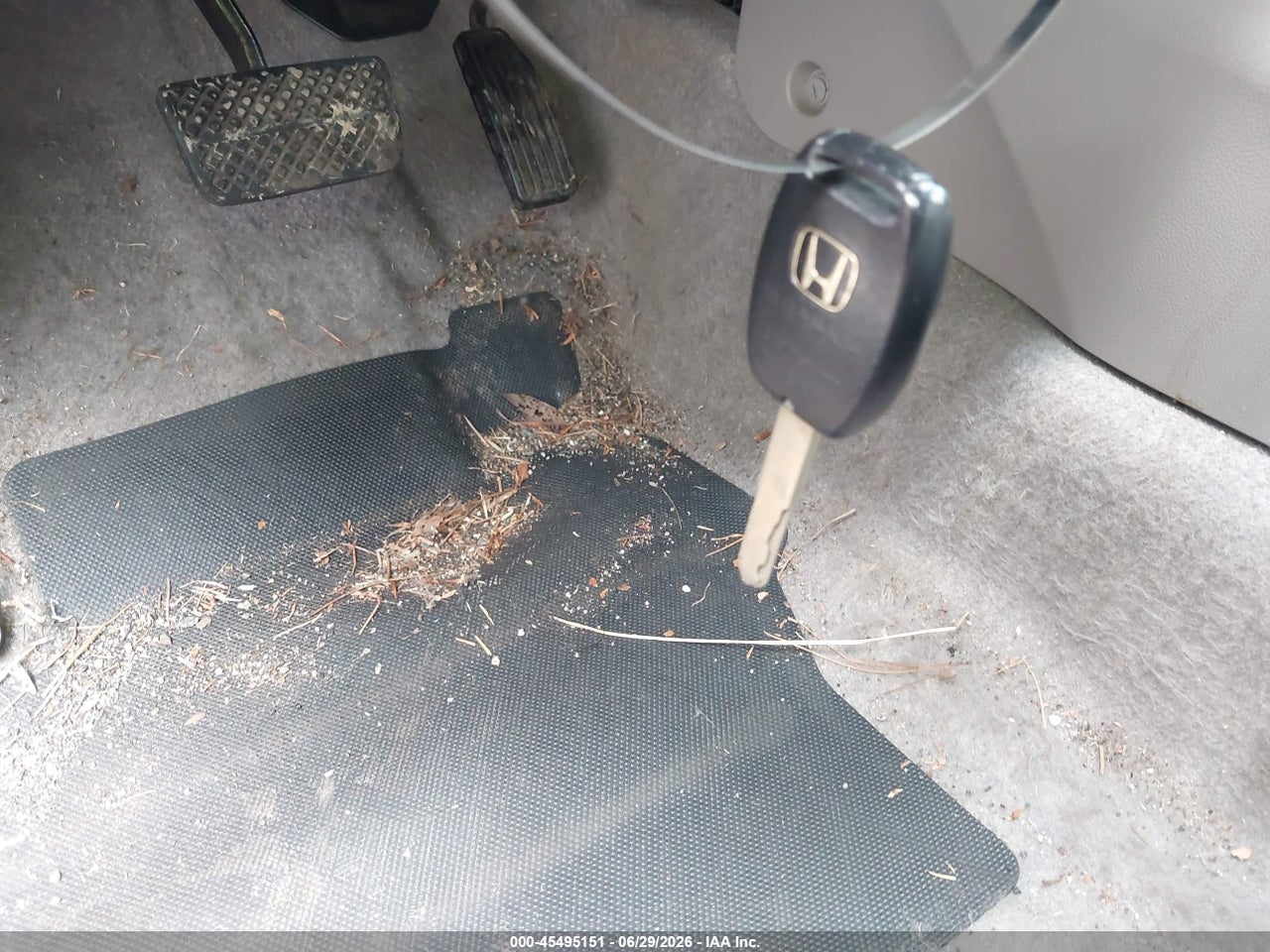 Image 11