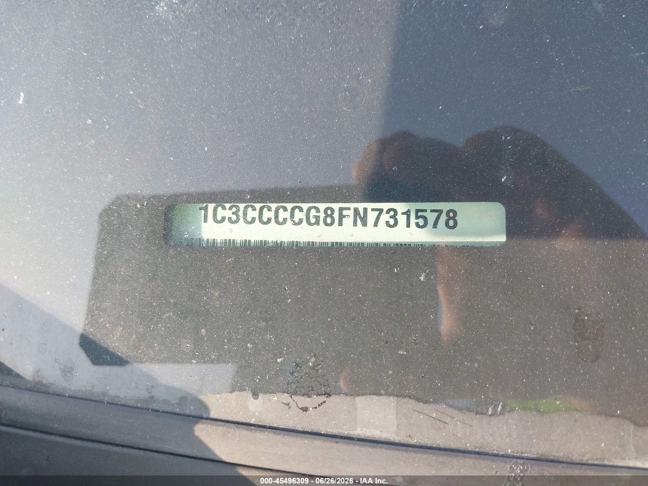 Image 12