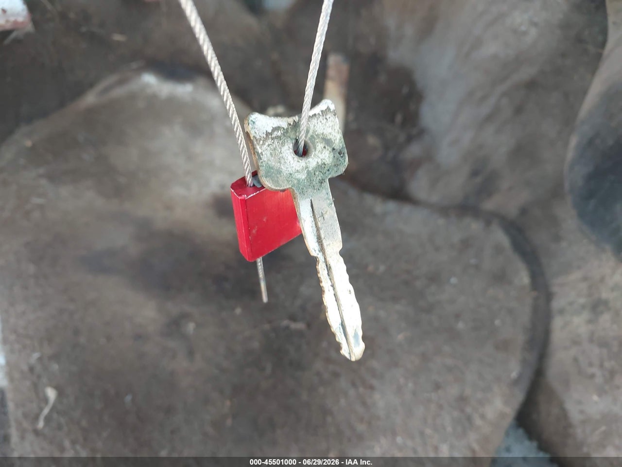 Image 11