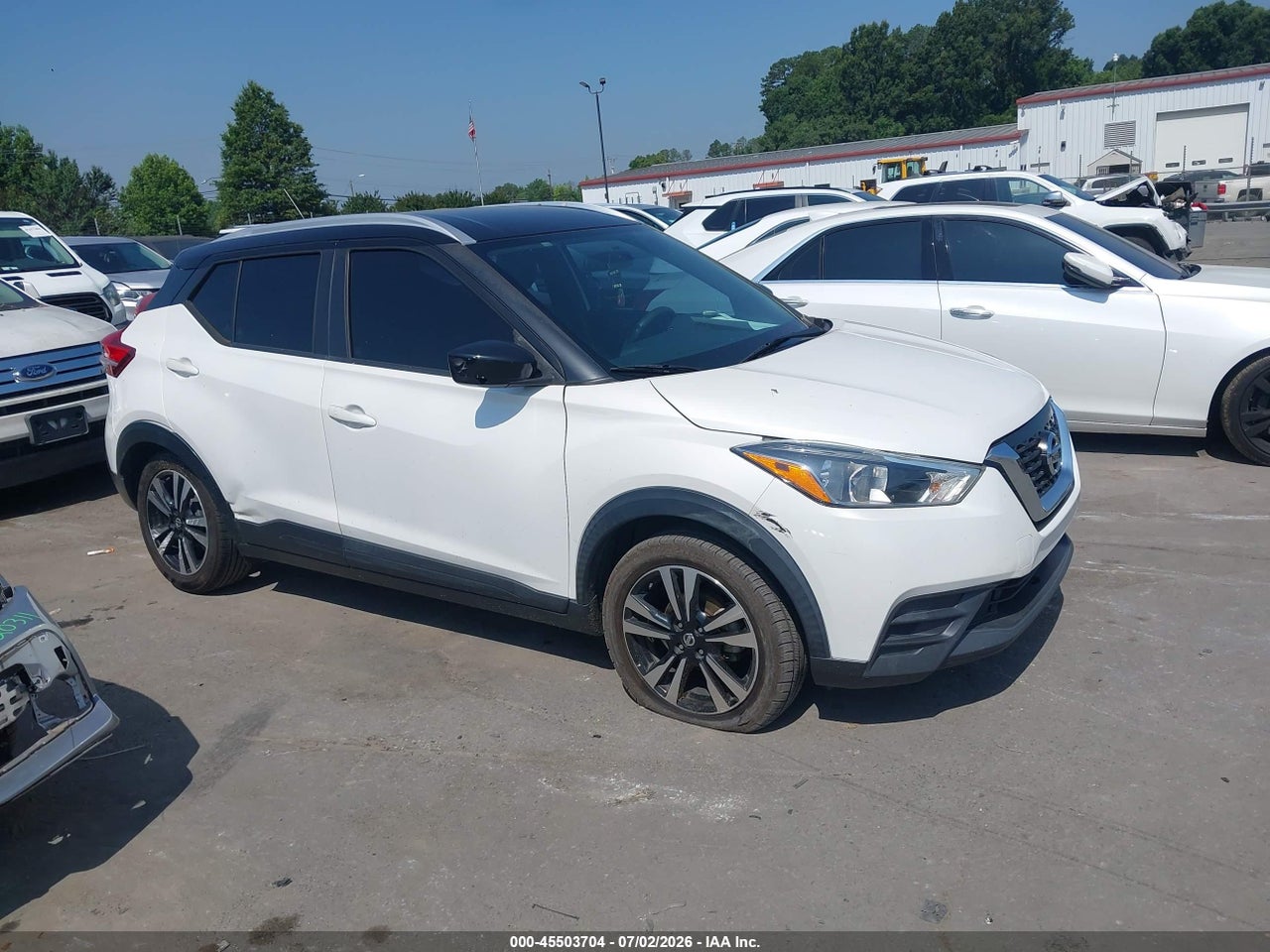 Image 13