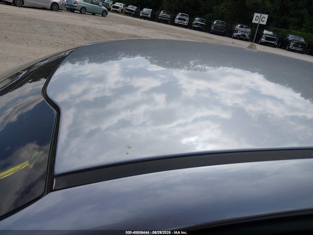 Image 6