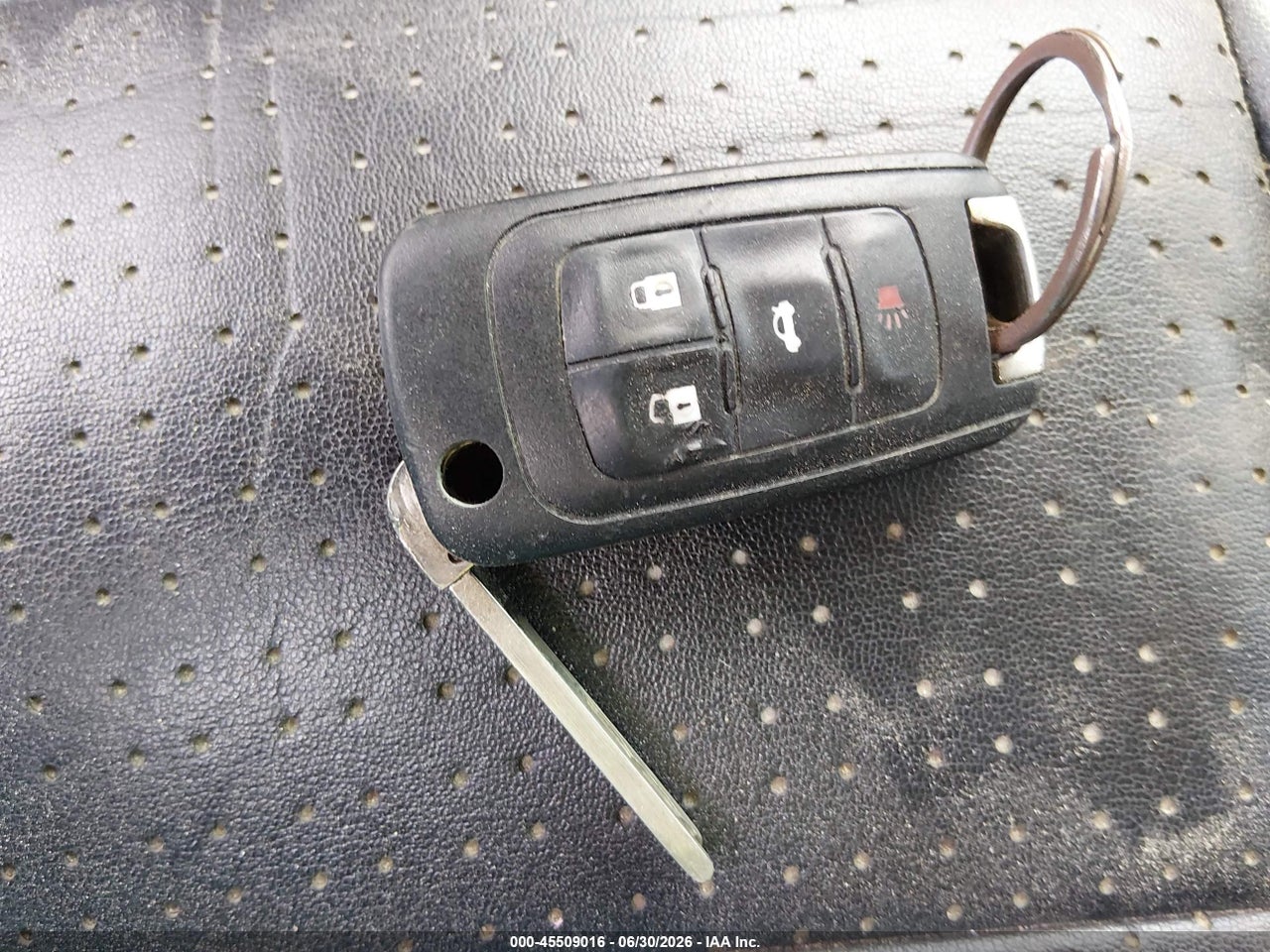 Image 11