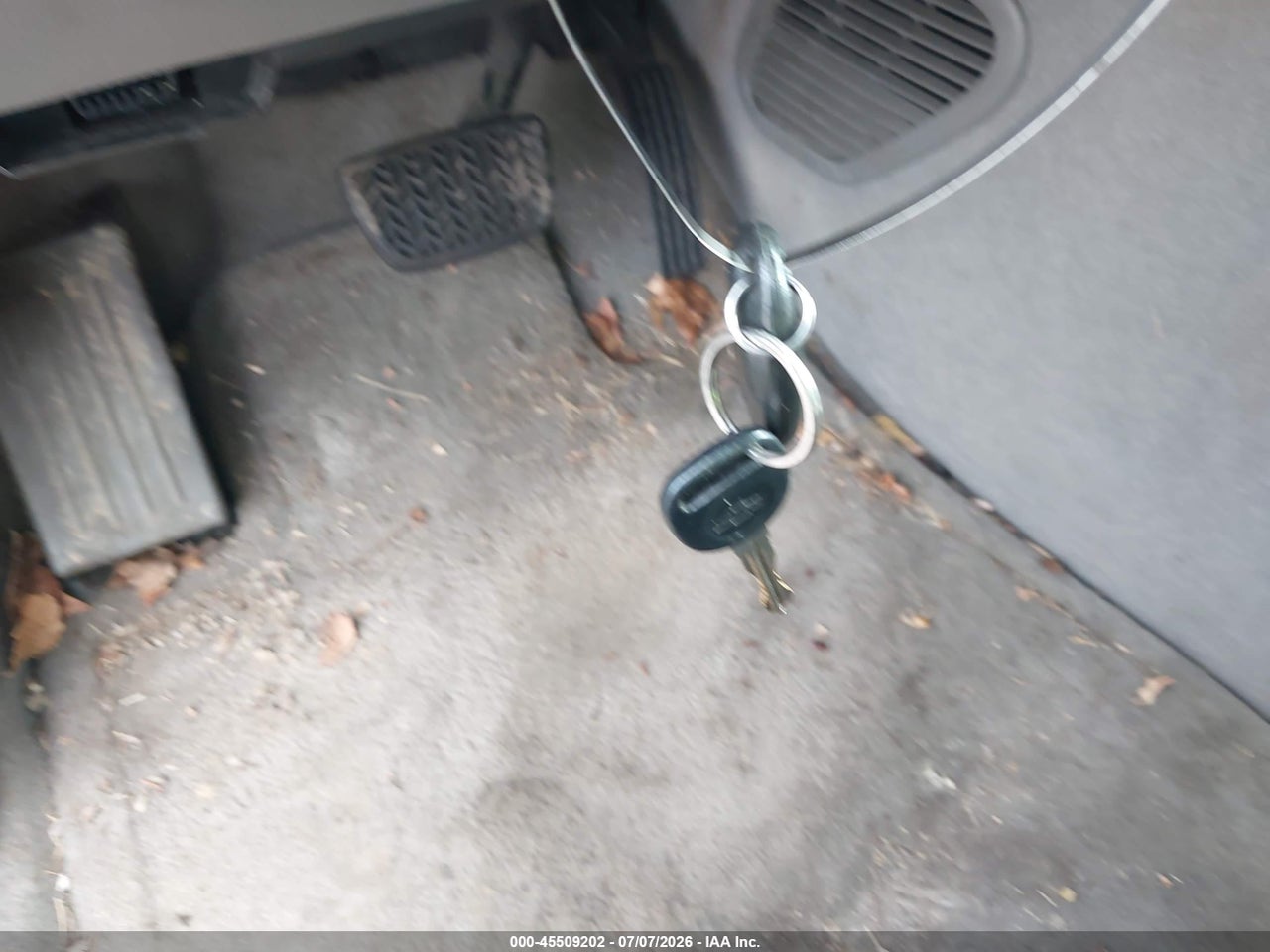 Image 11