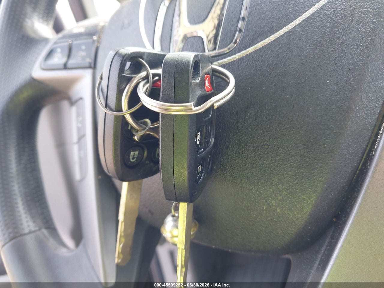 Image 11