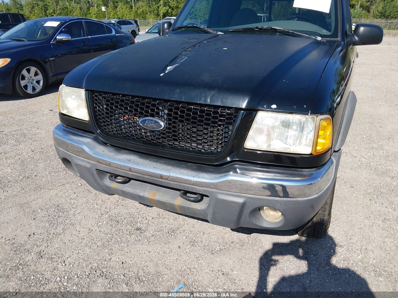 Image 6