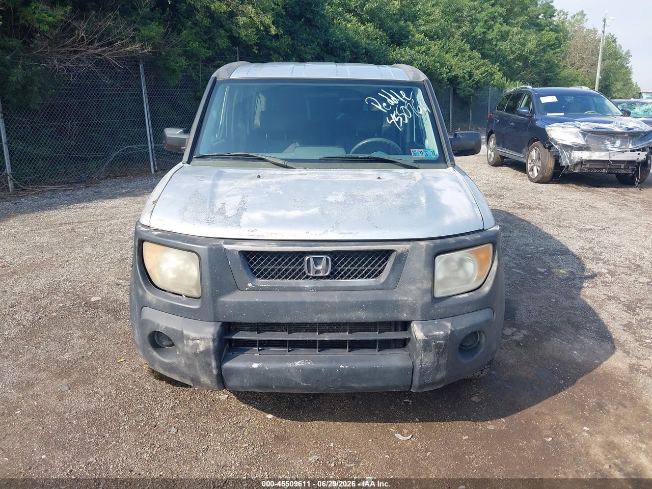 Image 6