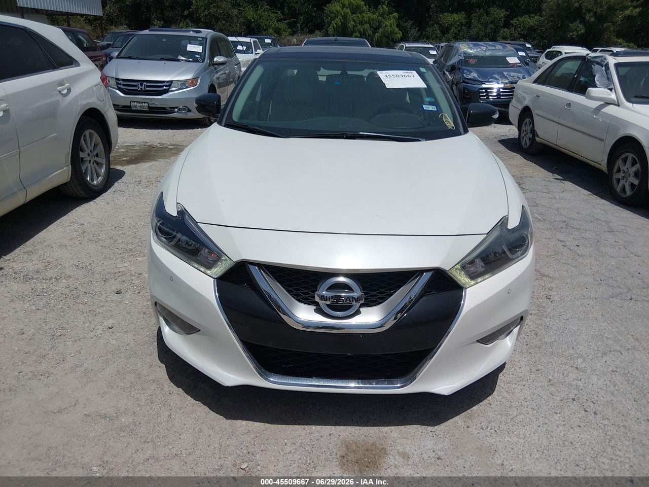 Image 12