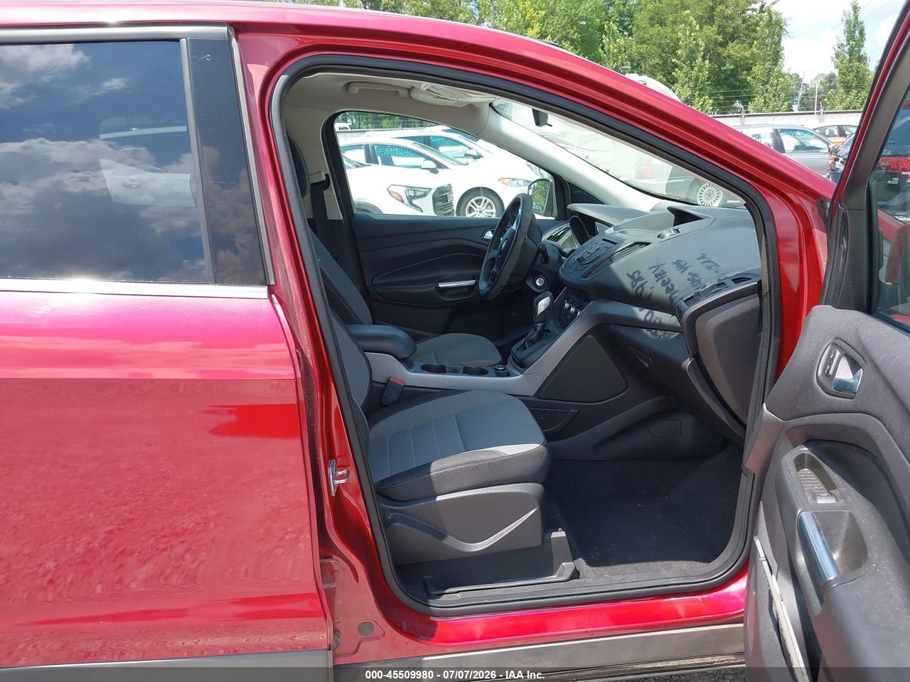 Image 5