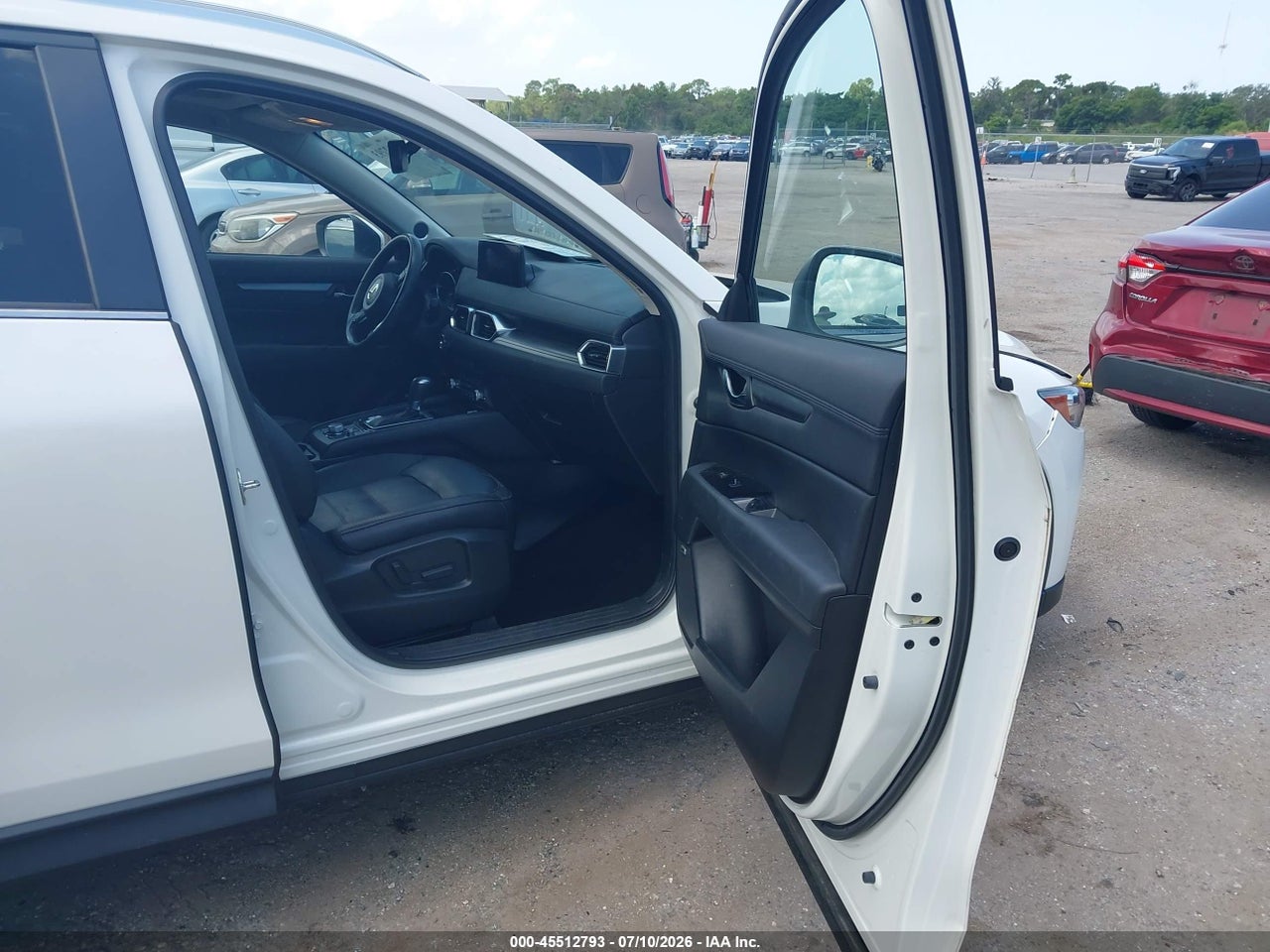 Image 5
