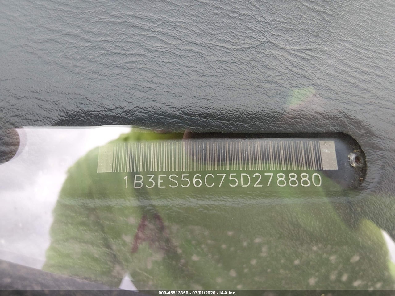 Image 9