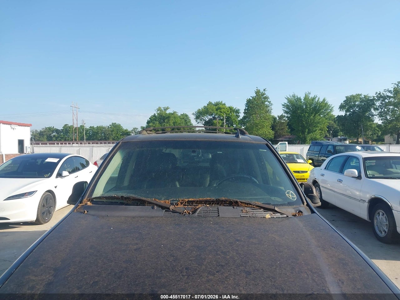 Image 12