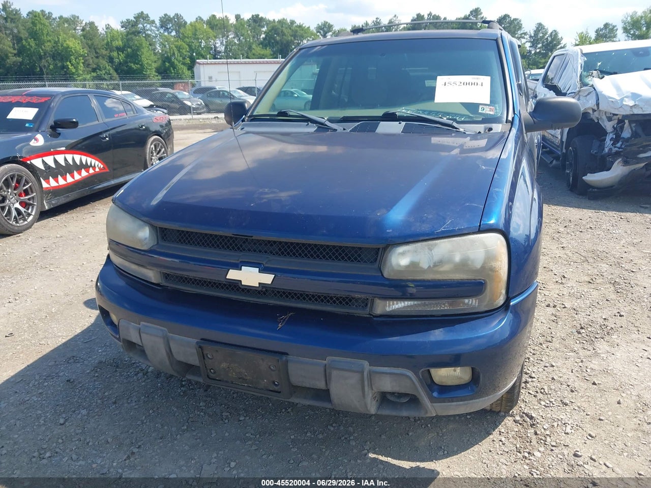 Image 6