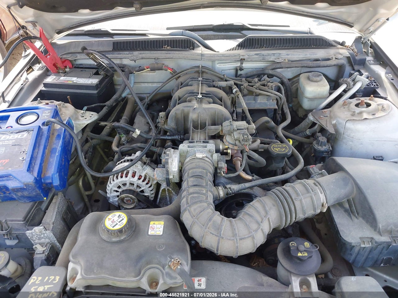 2006 FORD MUSTANG V6 thumbnail 11