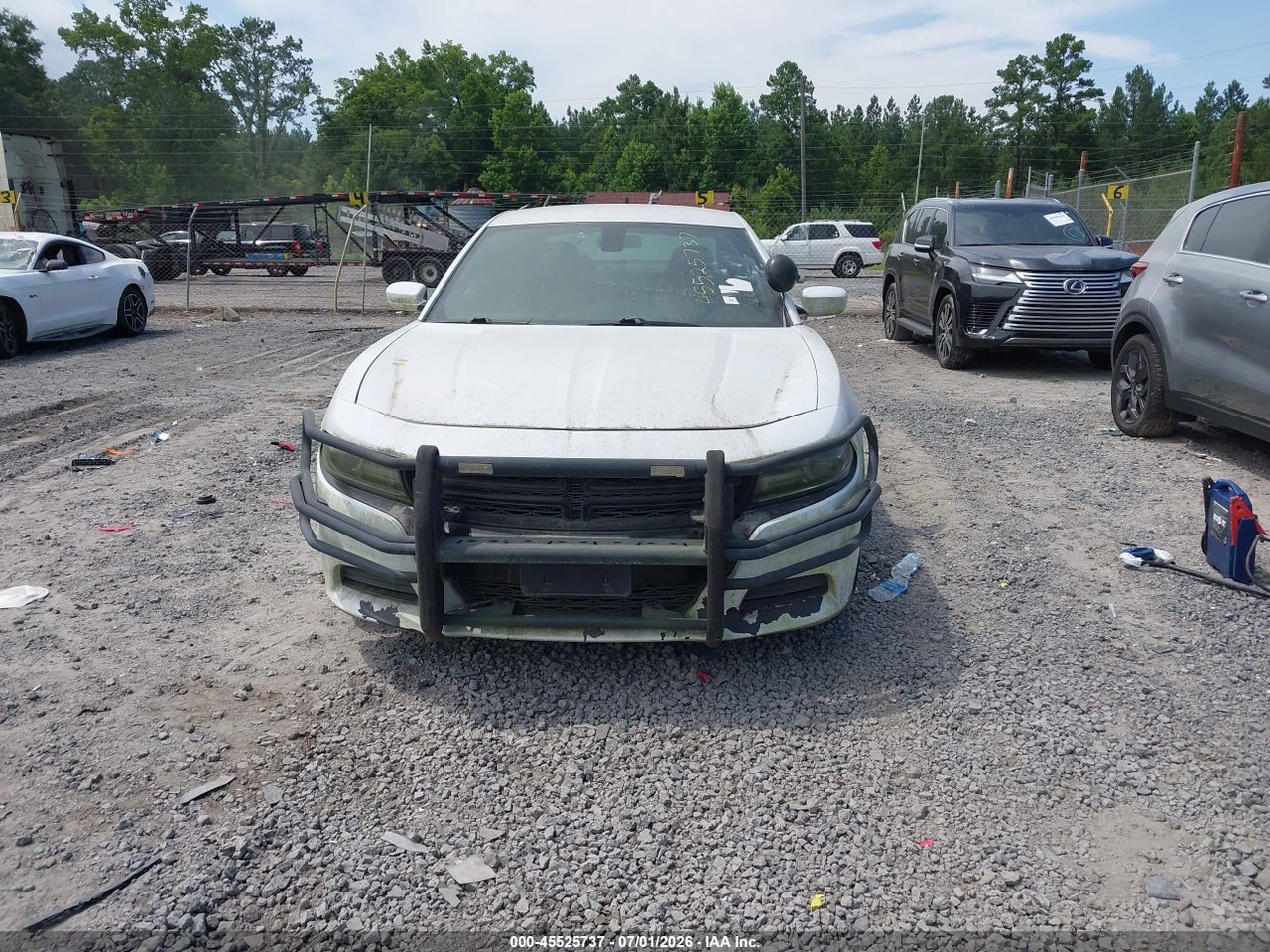 Image 12