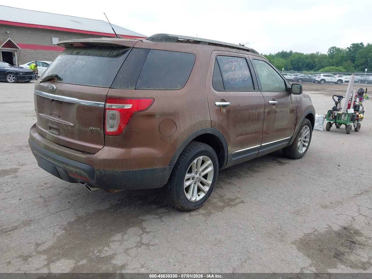 Image 4
