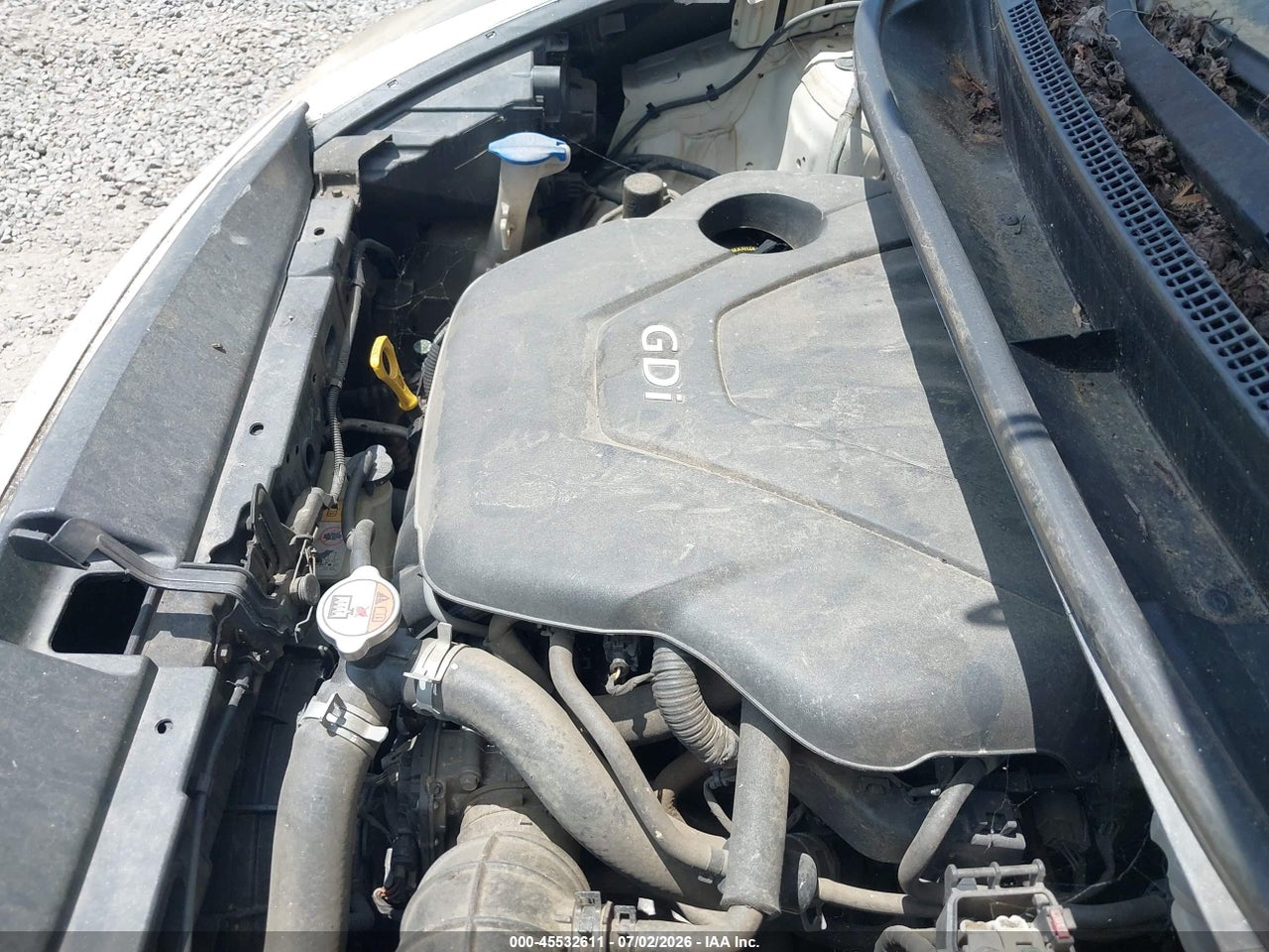 Image 6