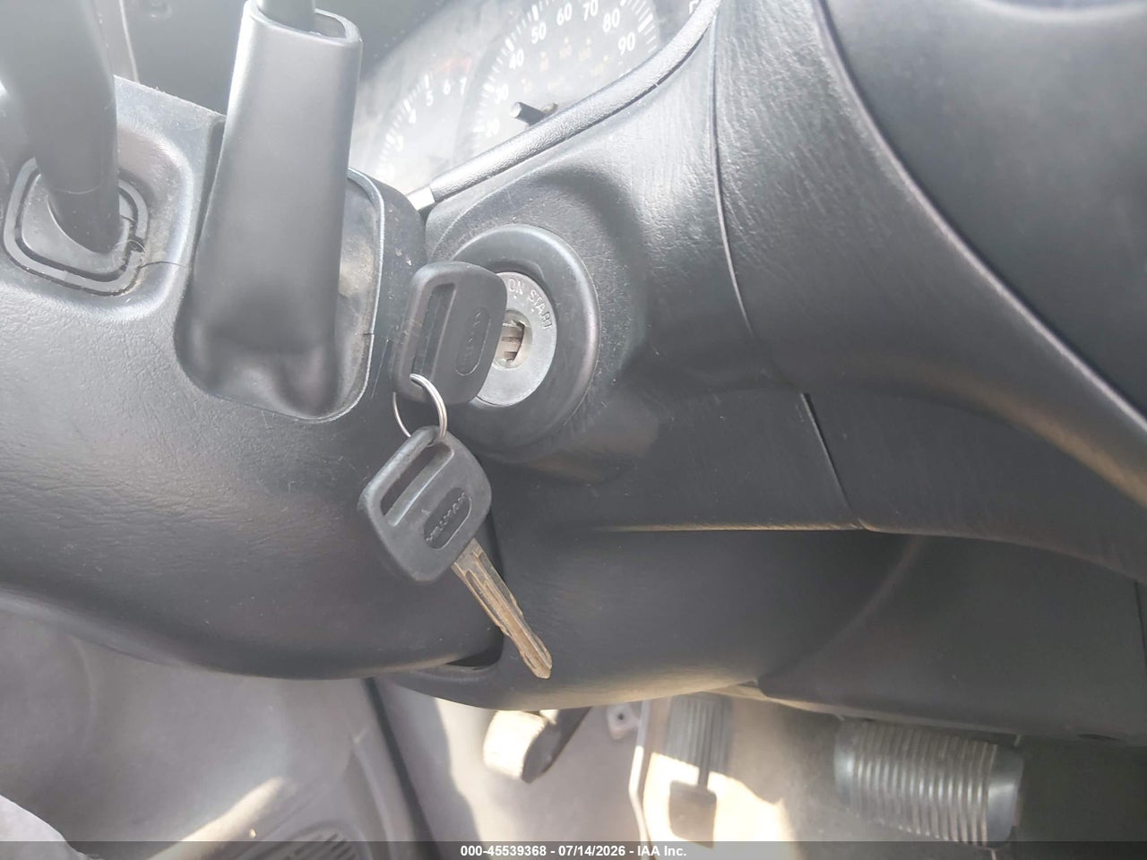 Image 11