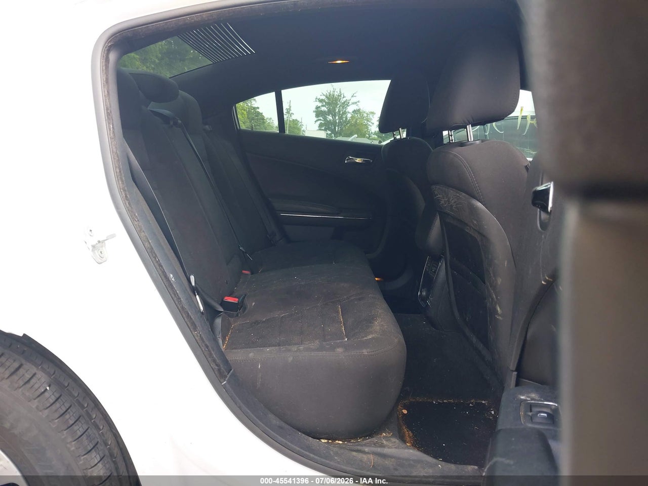 Image 8