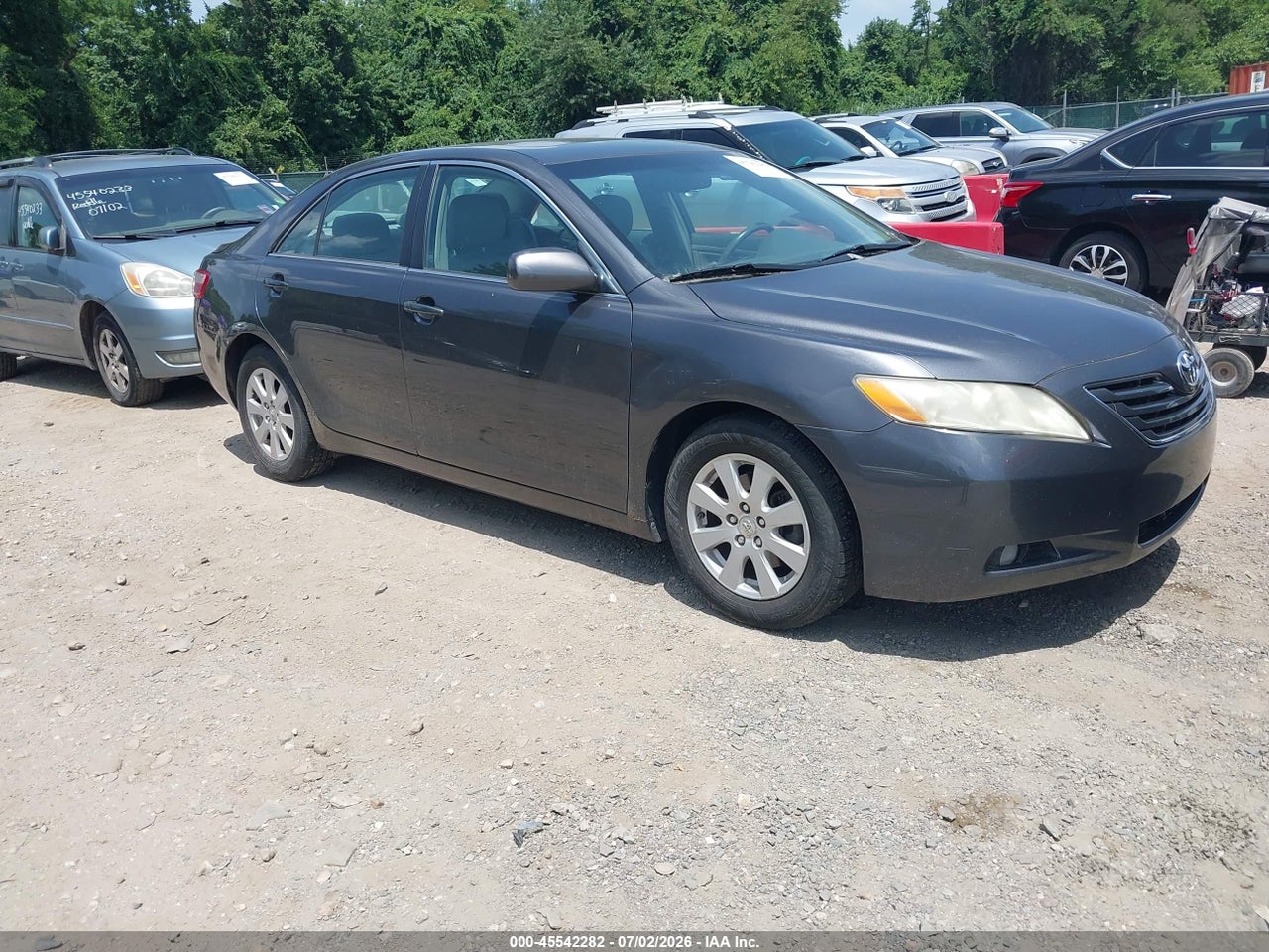 2009 TOYOTA CAMRY XLE V6 thumbnail 2