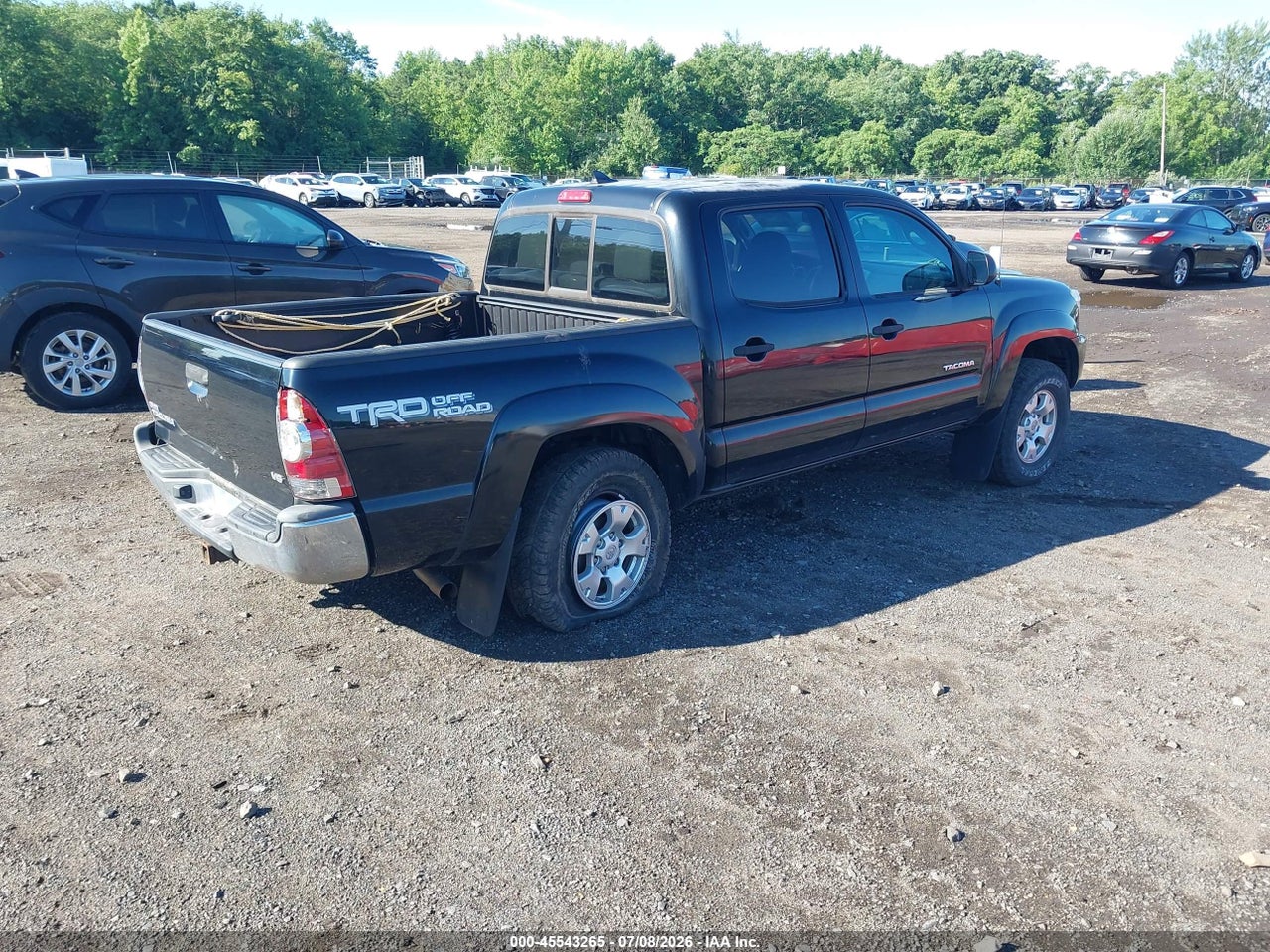 Image 4
