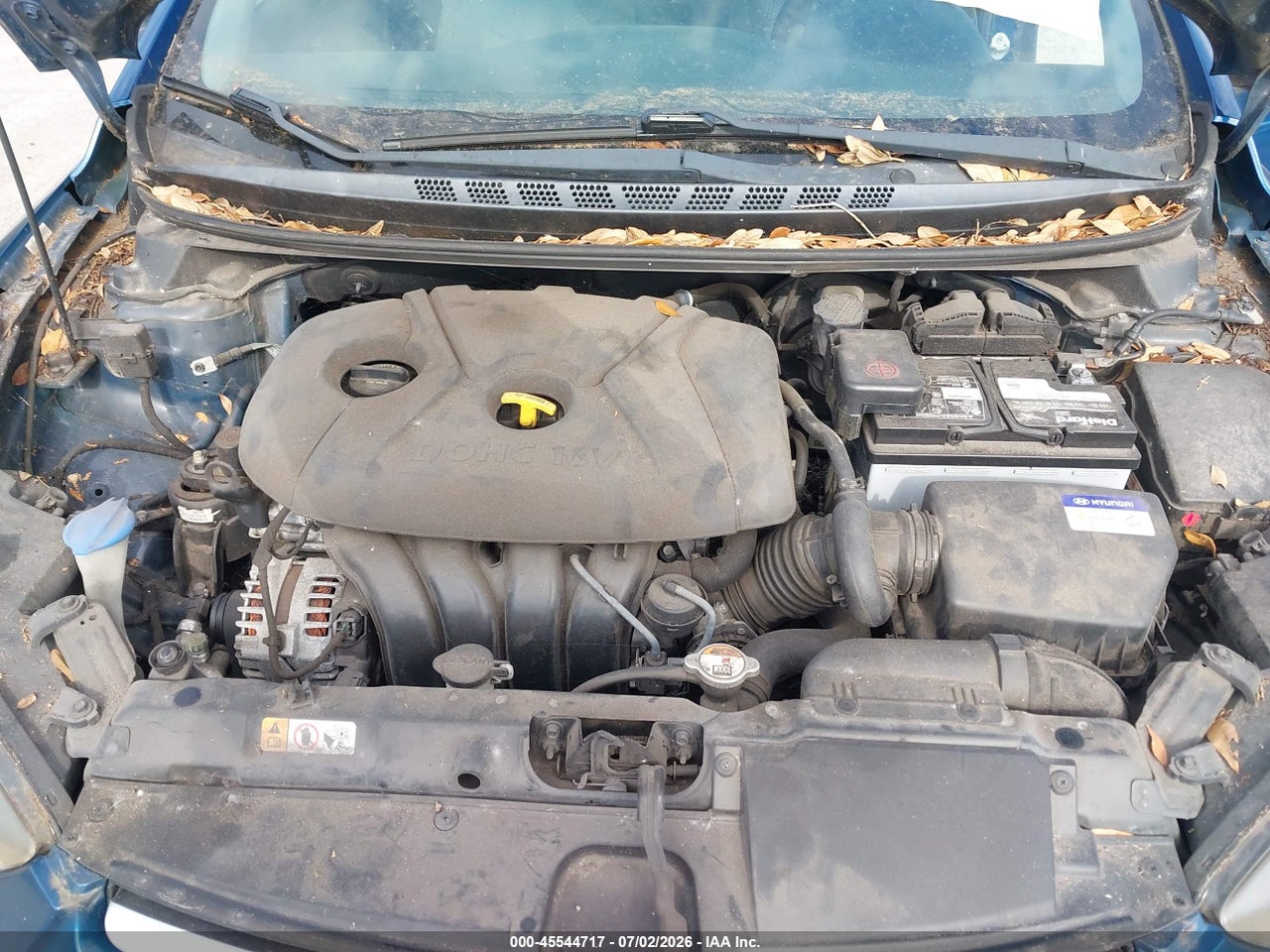 Image 10