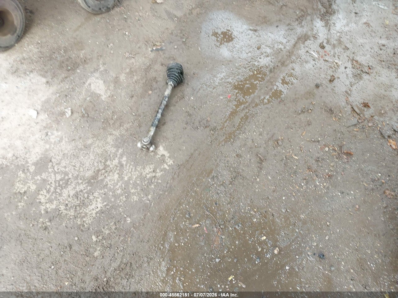 Image 12