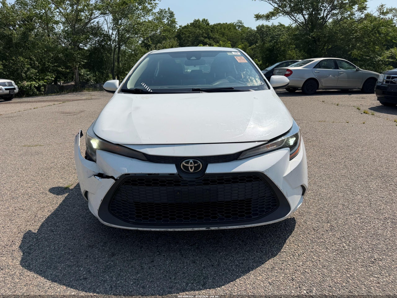 Image 12