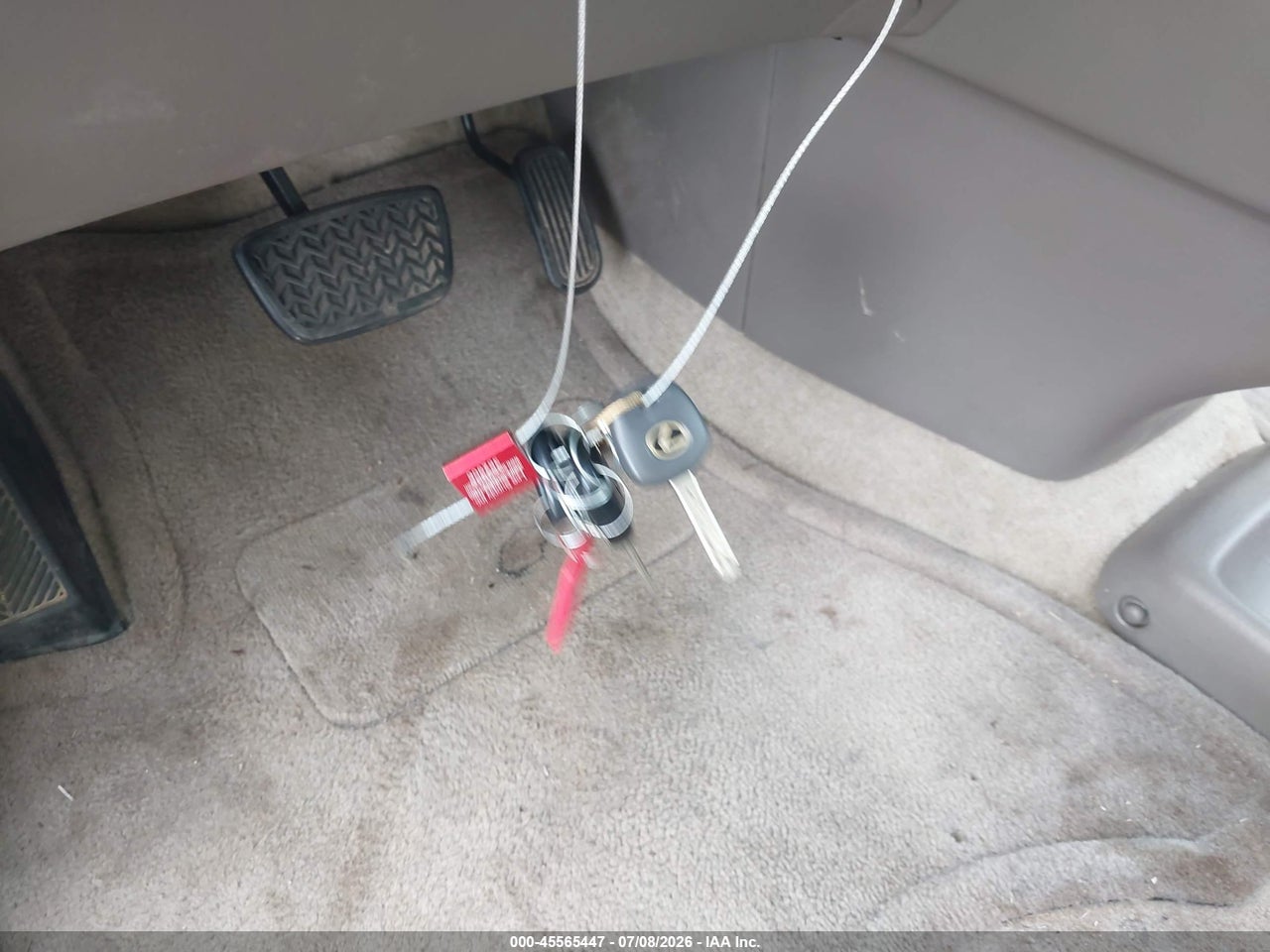 Image 11