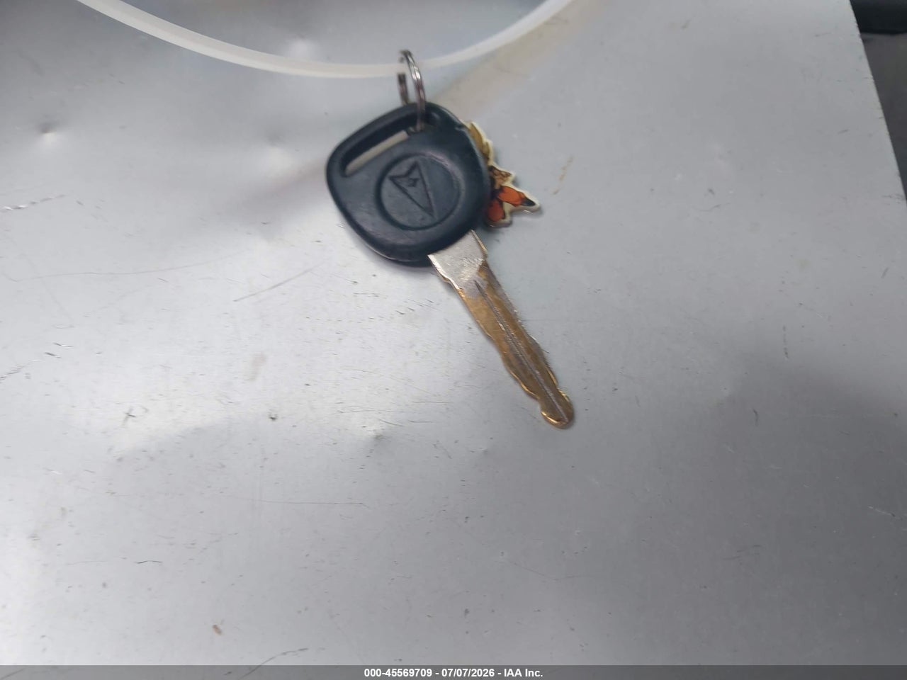 Image 11