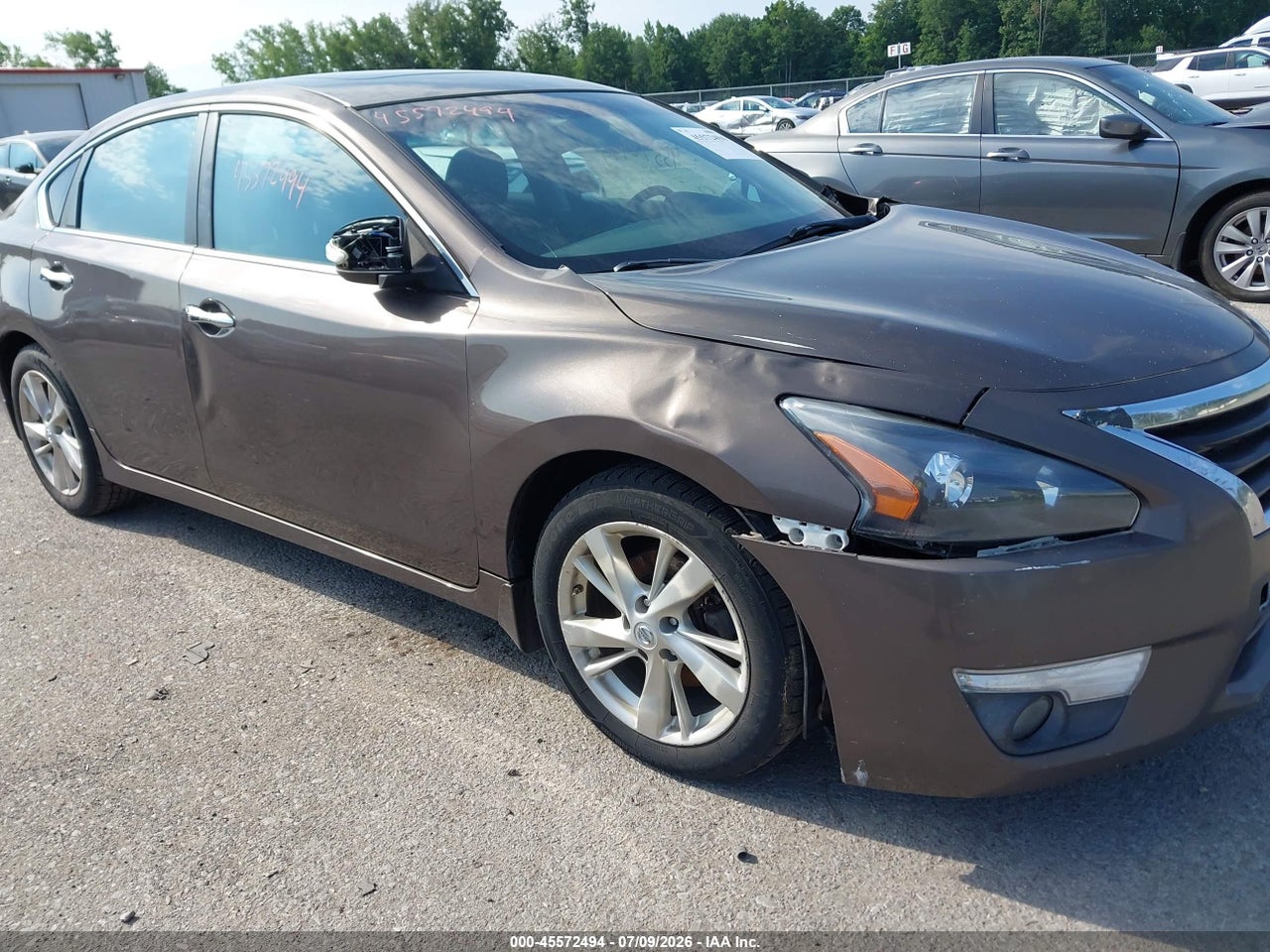Image 6
