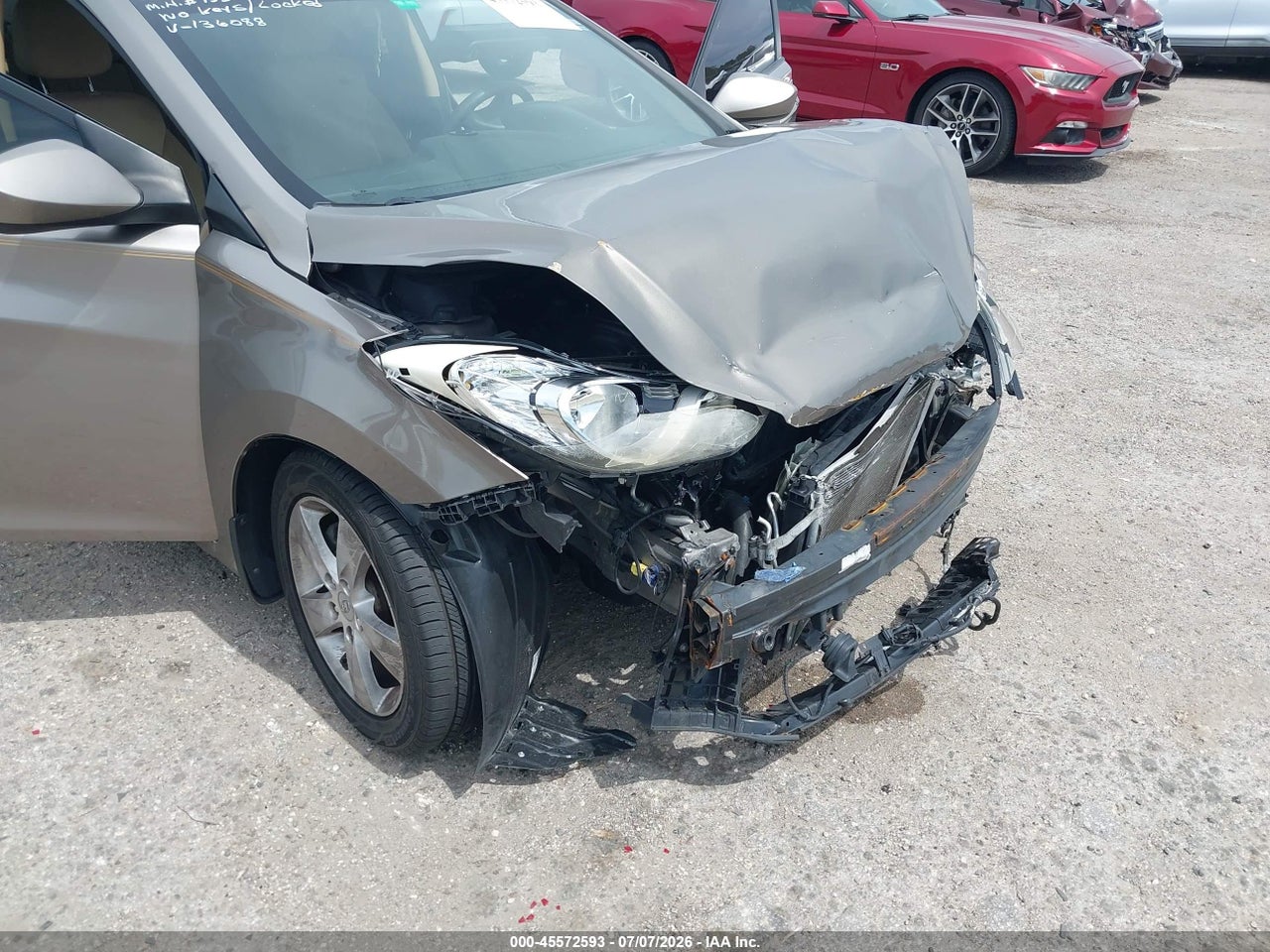 Image 6