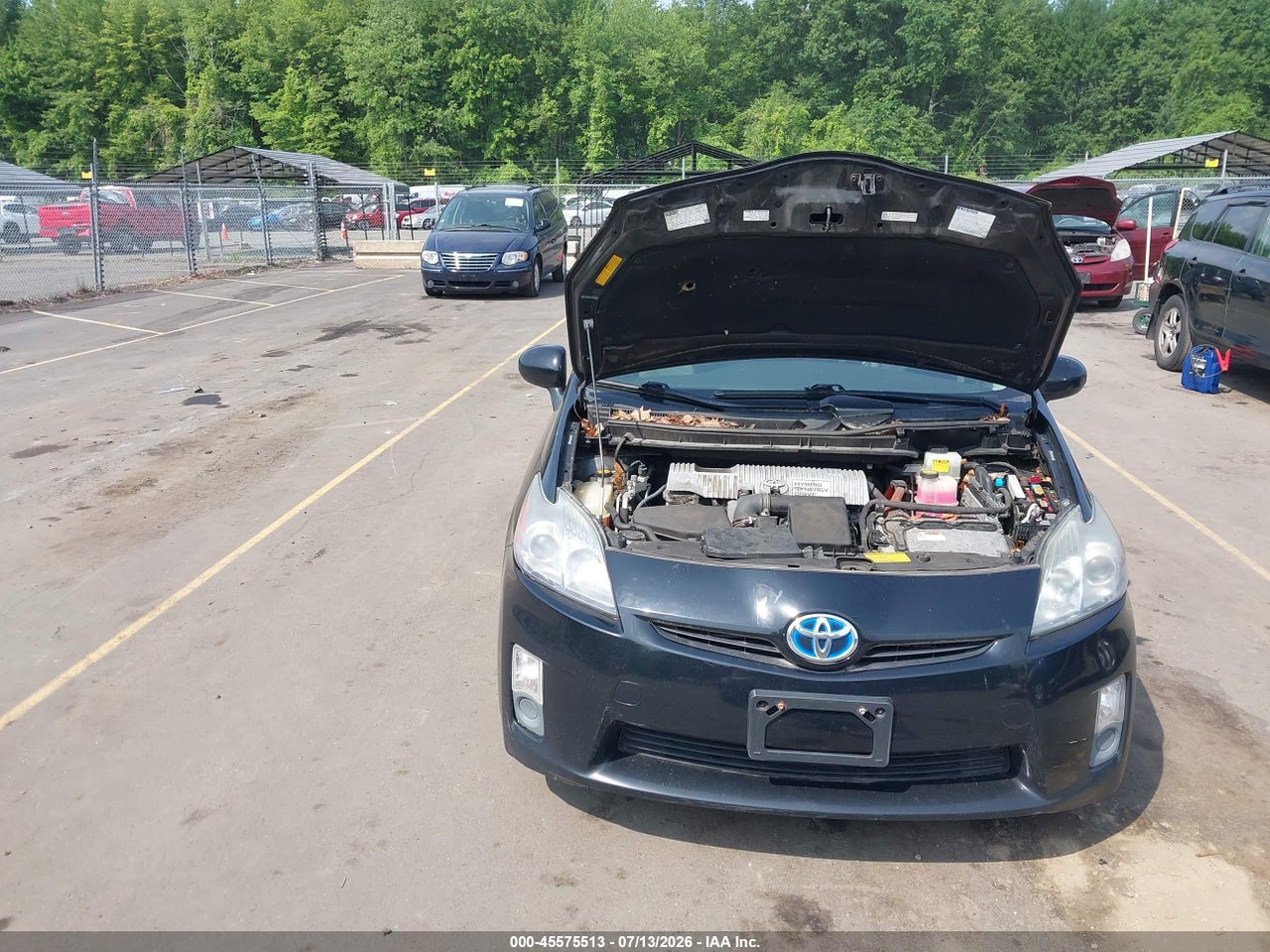Image 10
