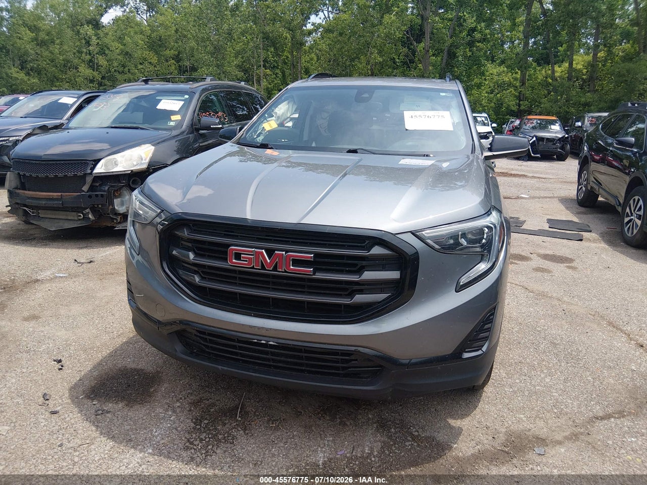 Image 12