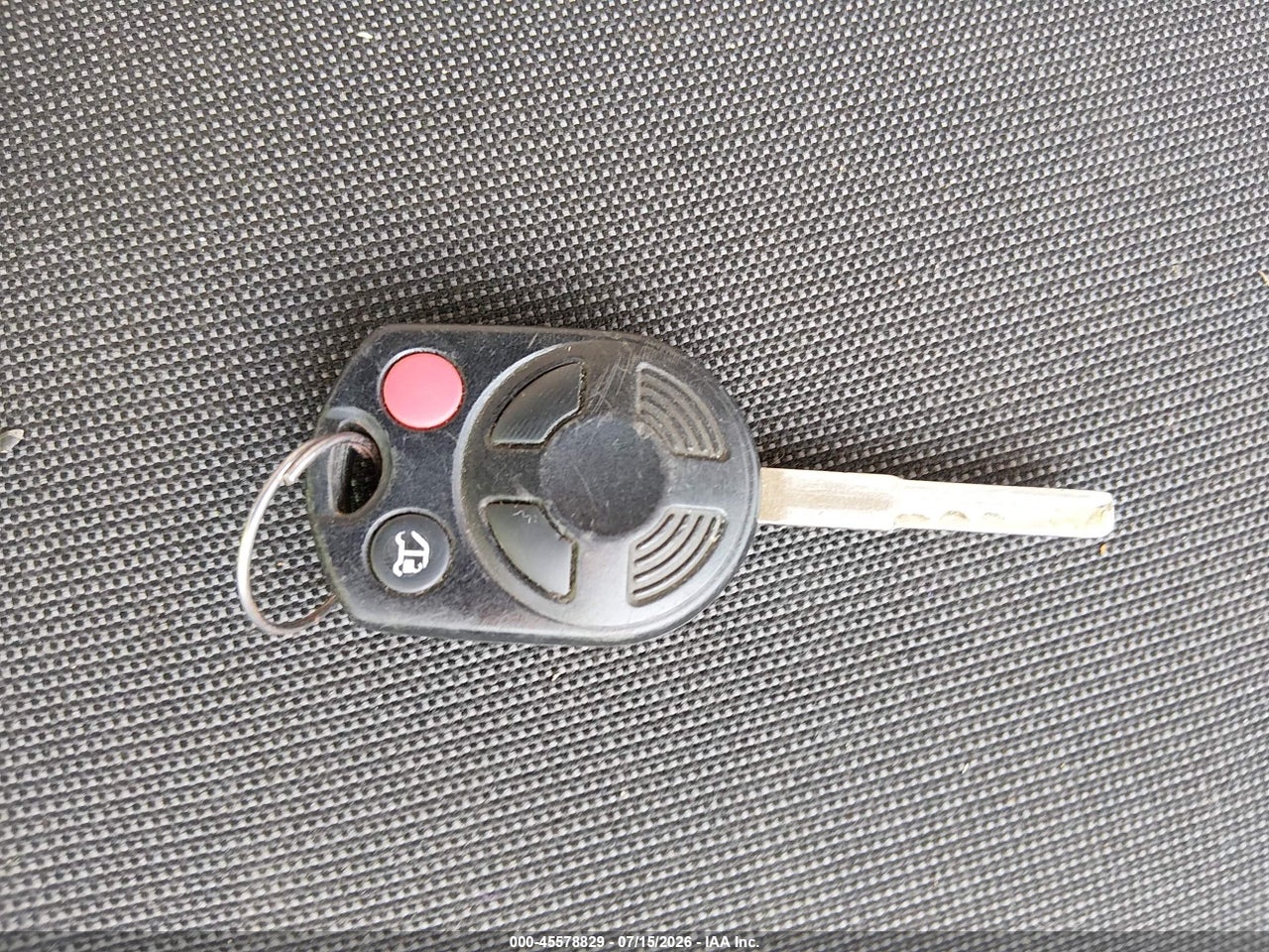 Image 11