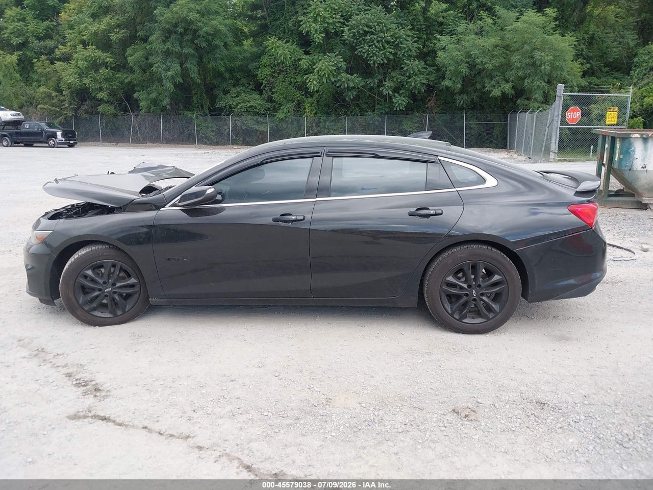 Image 14