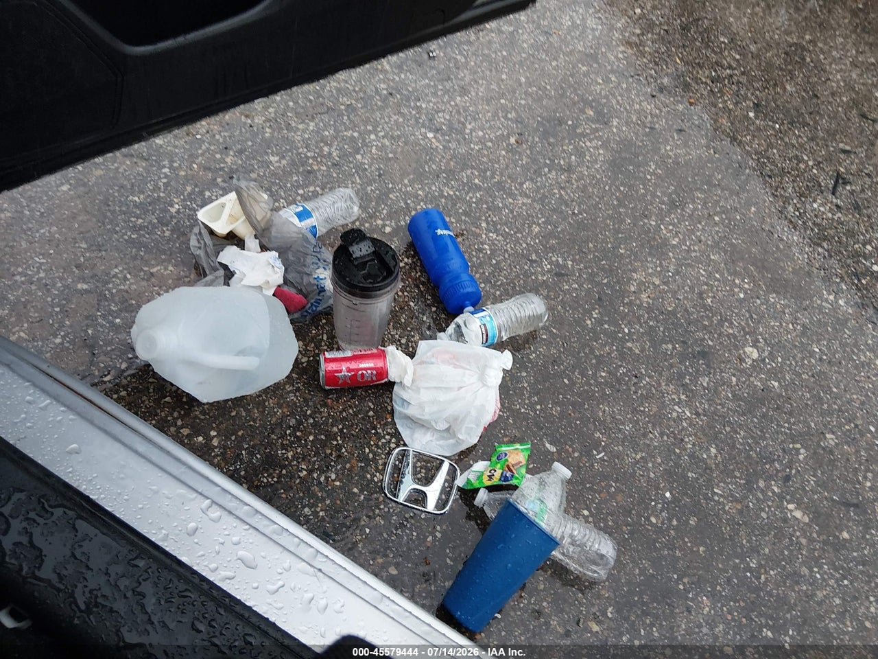Image 12