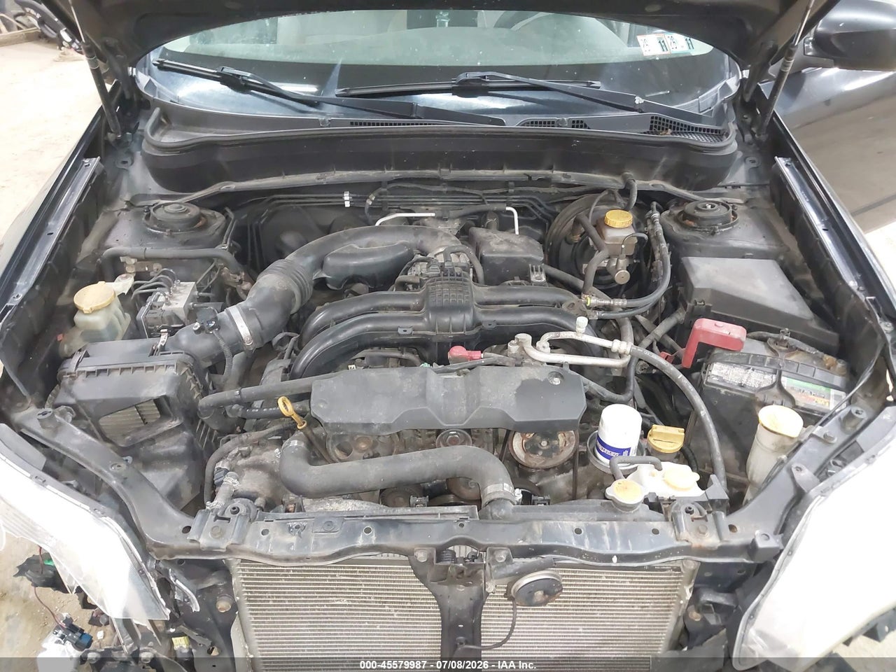 Image 10