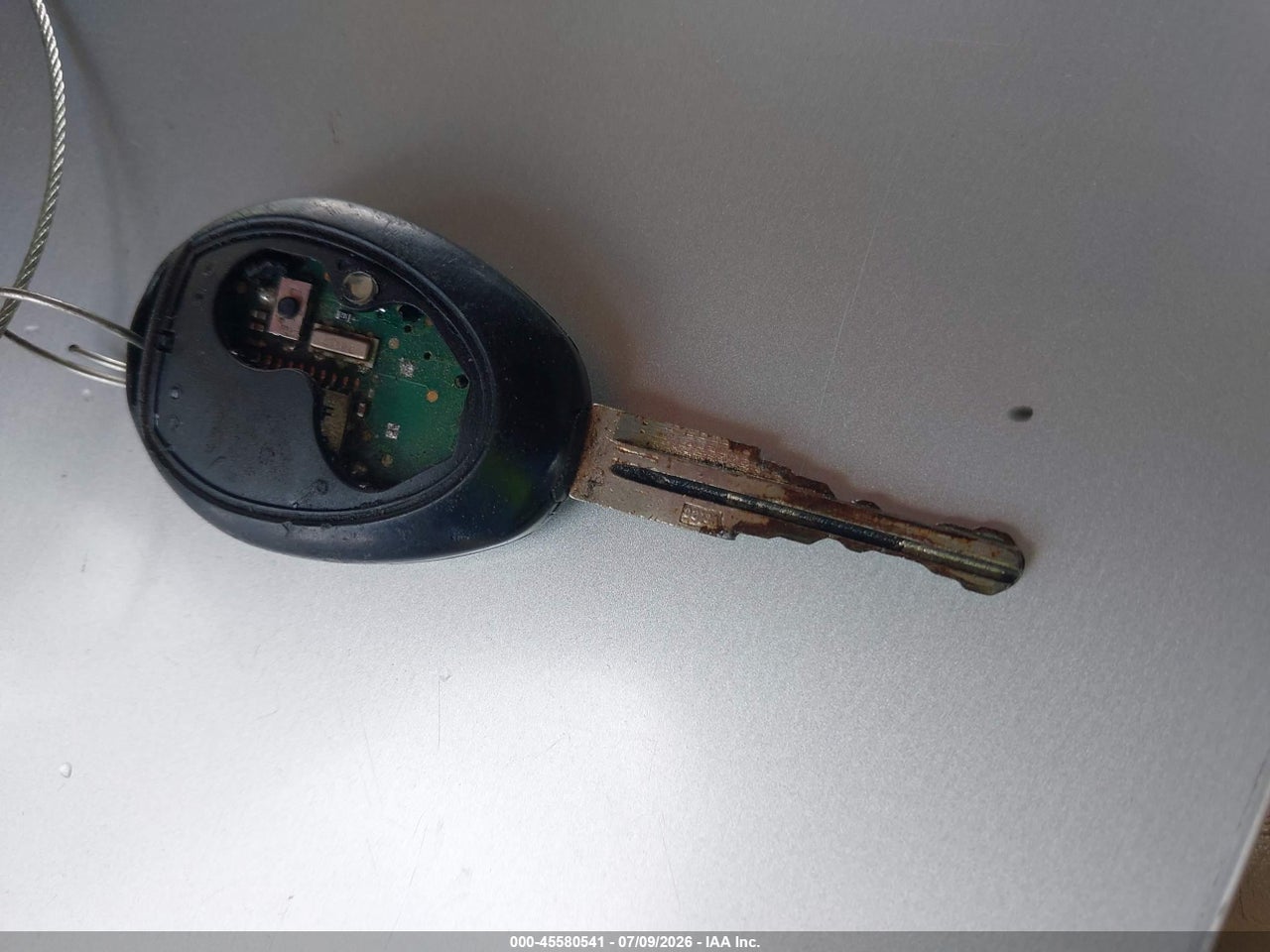 Image 11