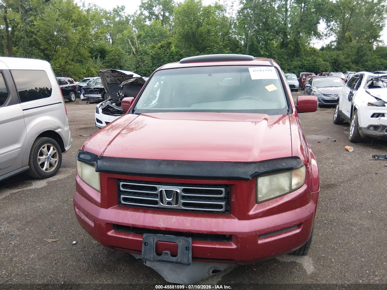 Image 12