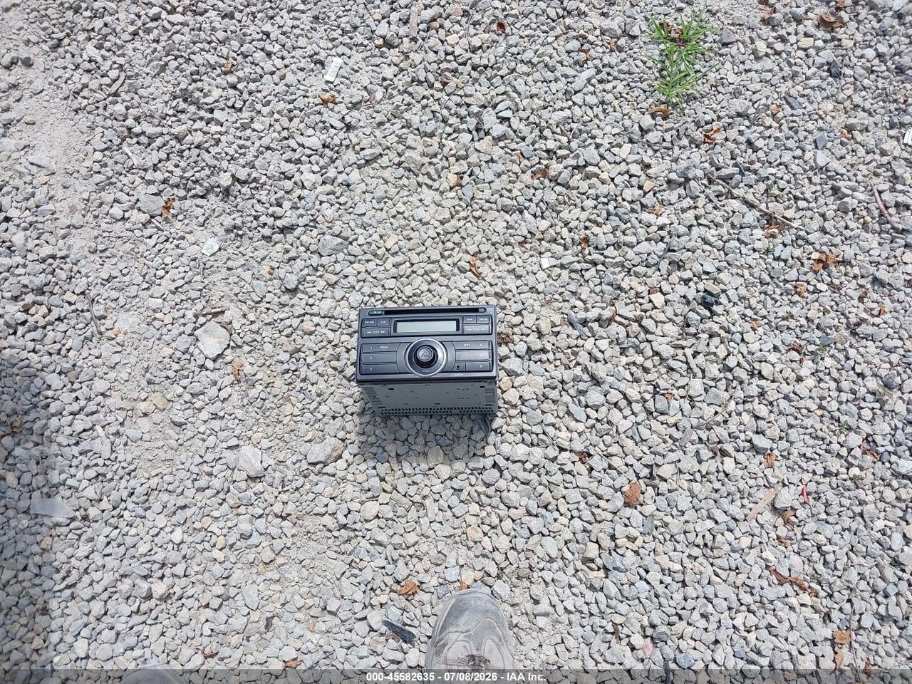 Image 12