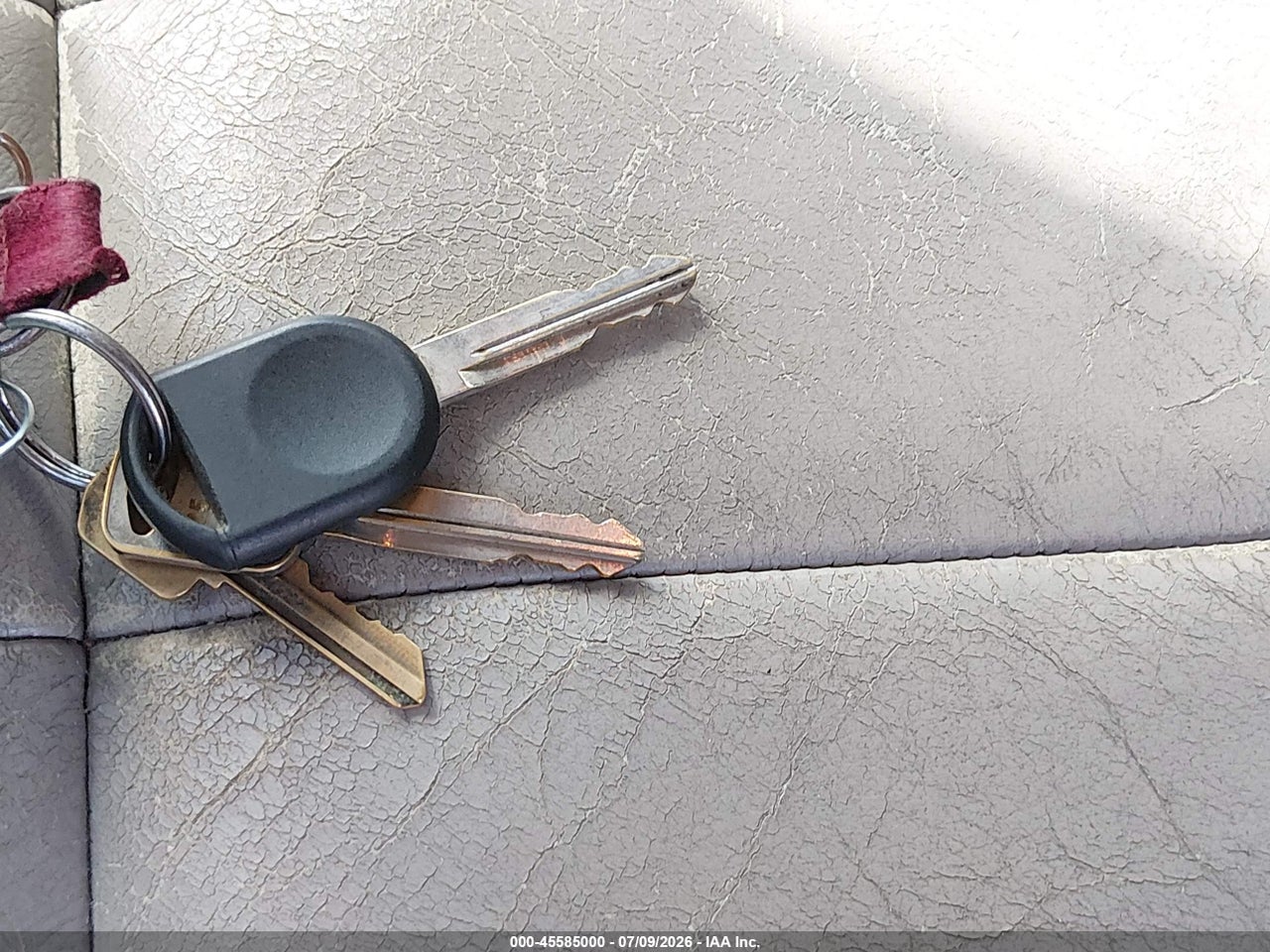 Image 11