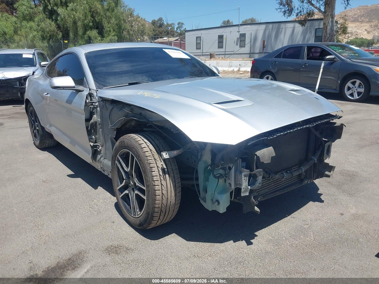 2019 Ford Mustang