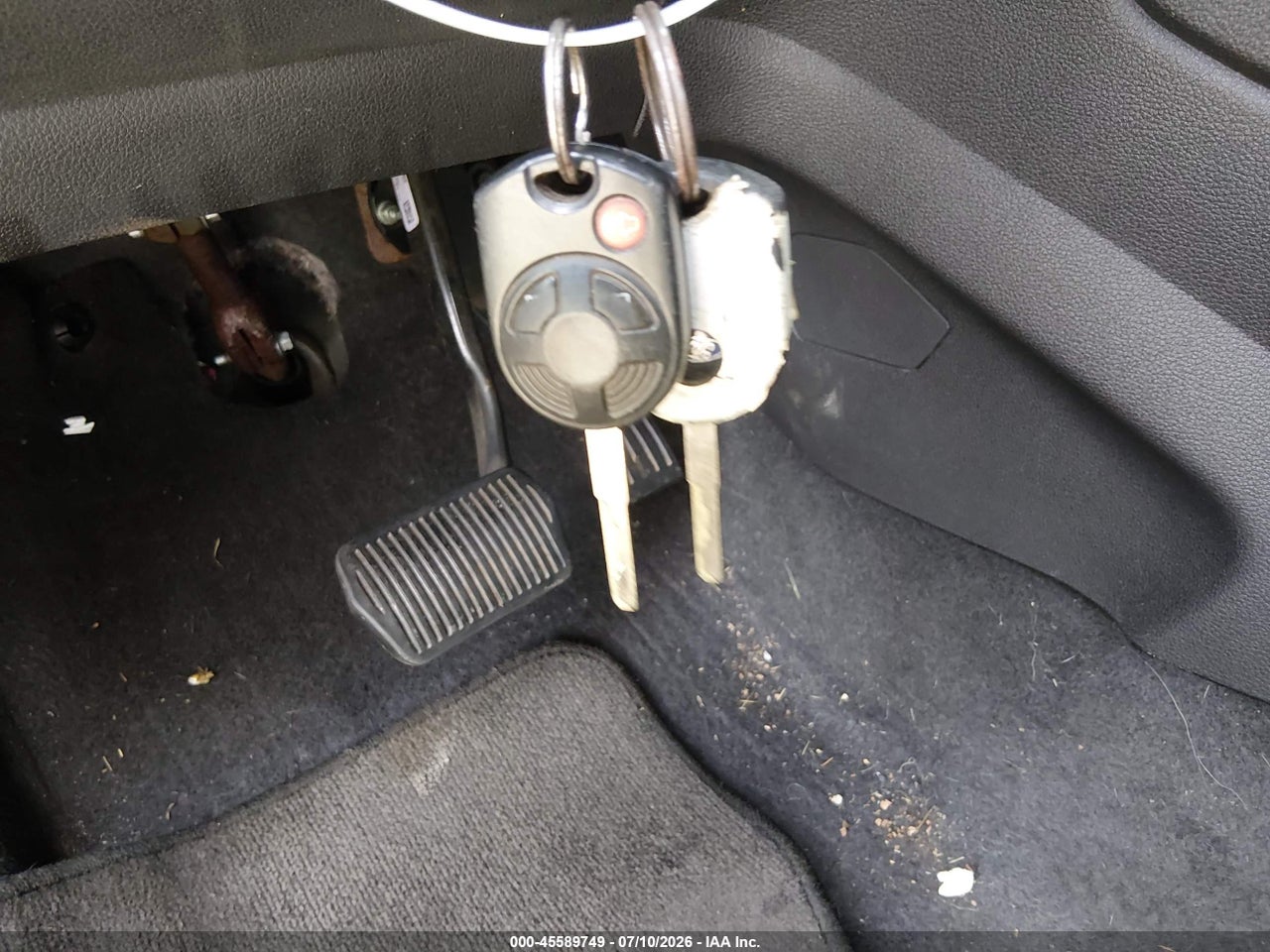 Image 11
