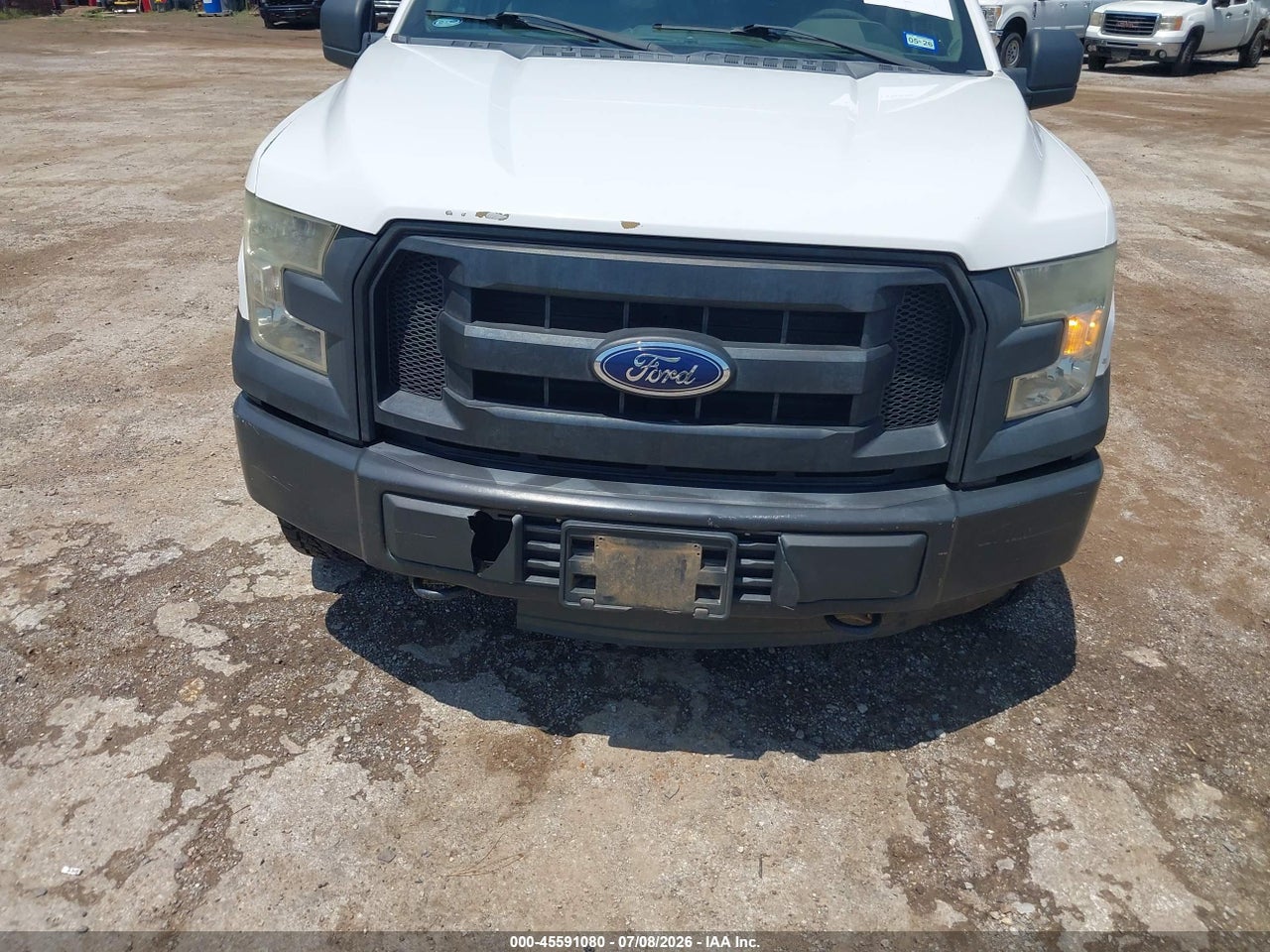 Image 6