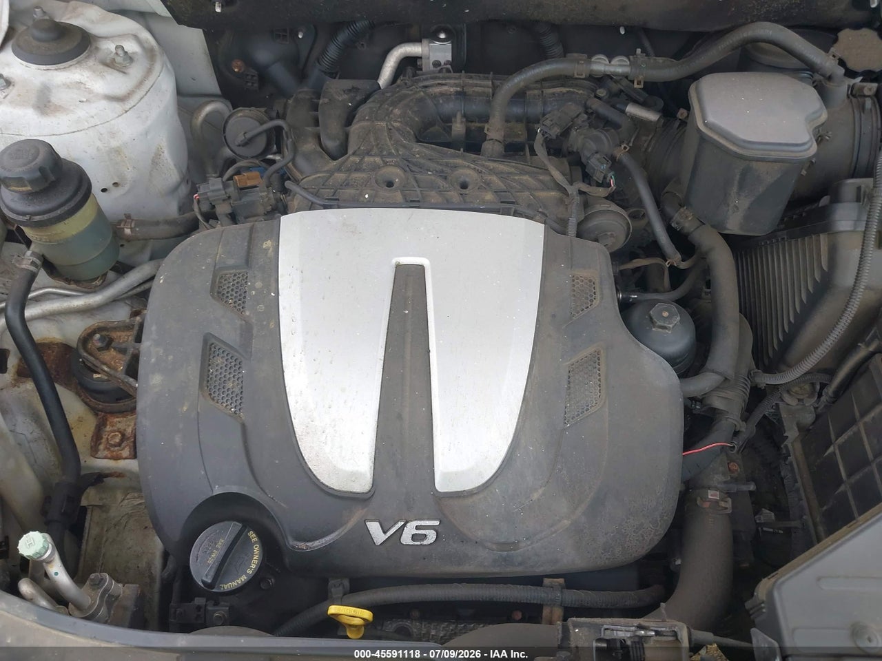 Image 10
