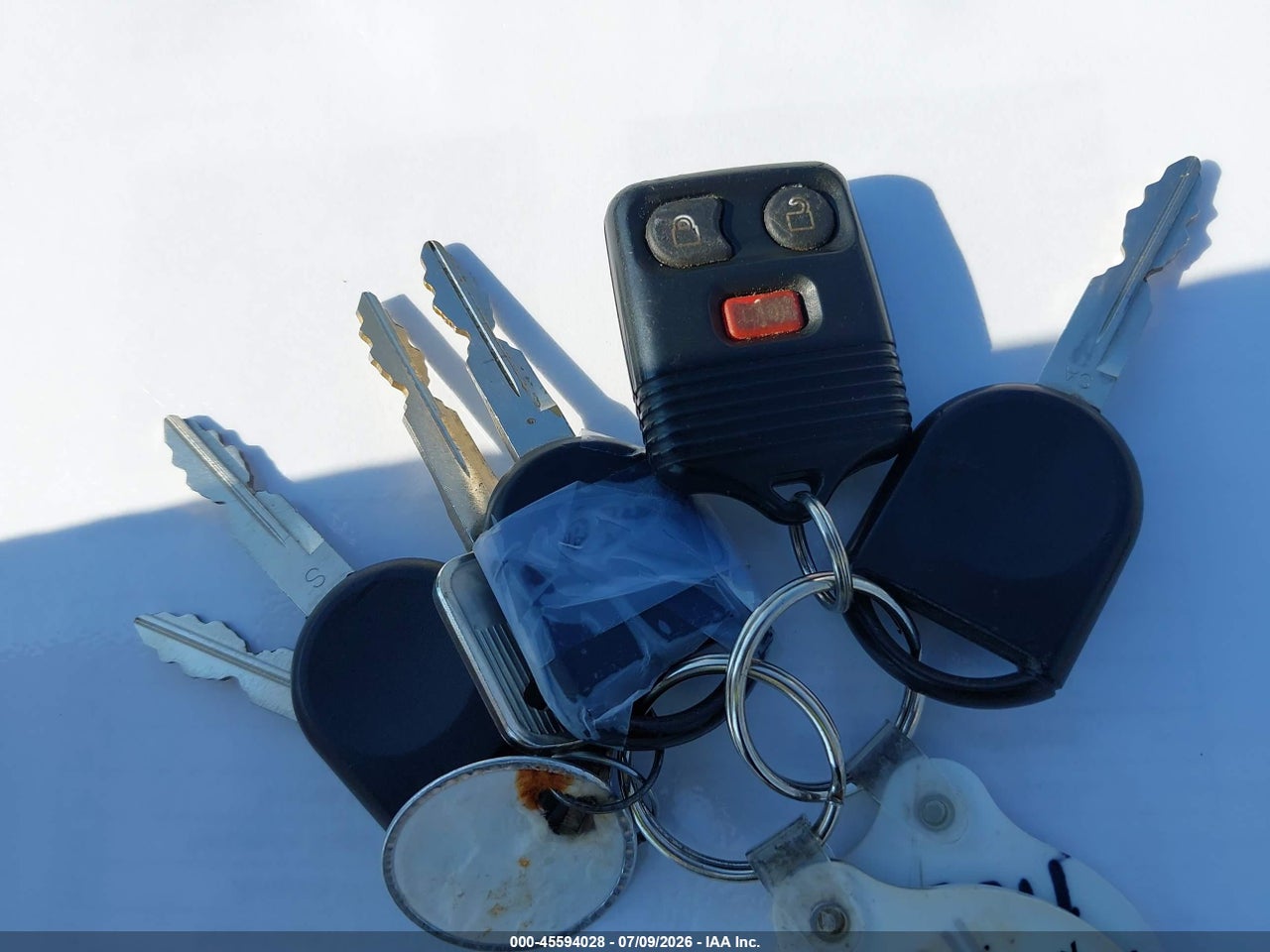 Image 11