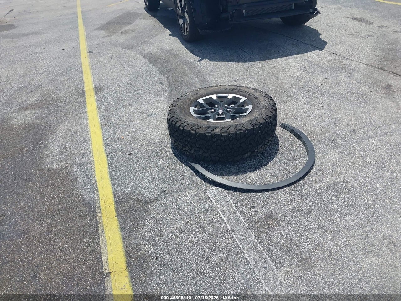 Image 12